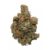 Corleone Kush Flower – THCA – Indica