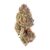 Pinnacle Flower – THCA – Indica